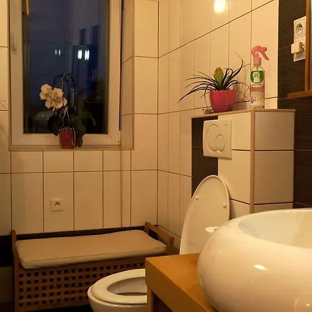 U Salonu Virginia Apartment Ceska Kamenice Exterior photo